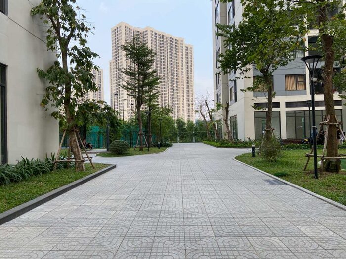 Ảnh chụp chế độ Auto trên iPhone 11