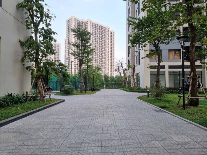 Ảnh chụp chế độ Auto trên Galaxy S21 FE 5G