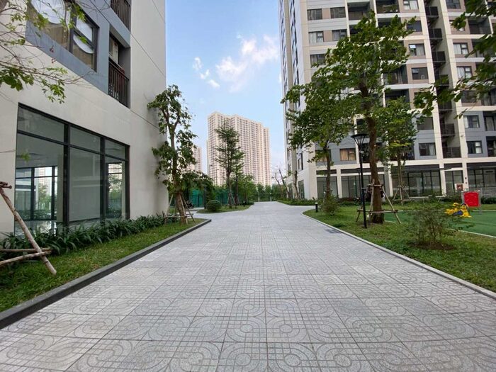 Ảnh chụp góc rộng trên iPhone 11