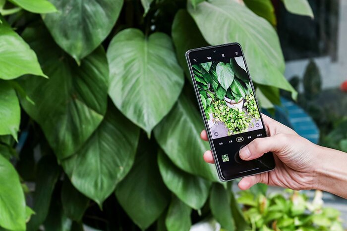Chất lượng hình ảnh của iQOO Neo 5S tốt hơn