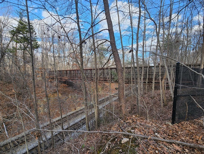 đánh giá Samsung Galaxy S22 Plus