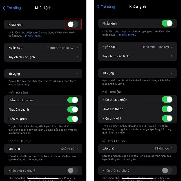 cách điều khiển iPhone bằng giọng nói