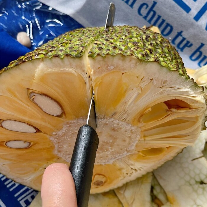 Mít mua về bổ đôi và bắt đầu sơ chế