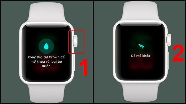 Bật chế độ khóa nước trên Apple Watch khi vệ sinh máy