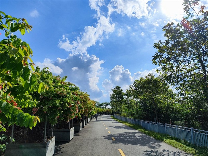 Hình ảnh chụp trong điều kiện đủ sáng