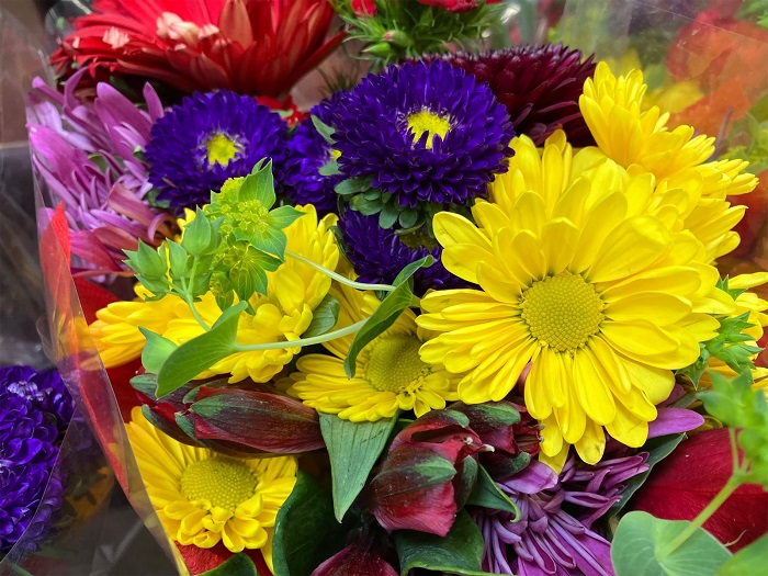 Ảnh chụp hoa từ SE 2022