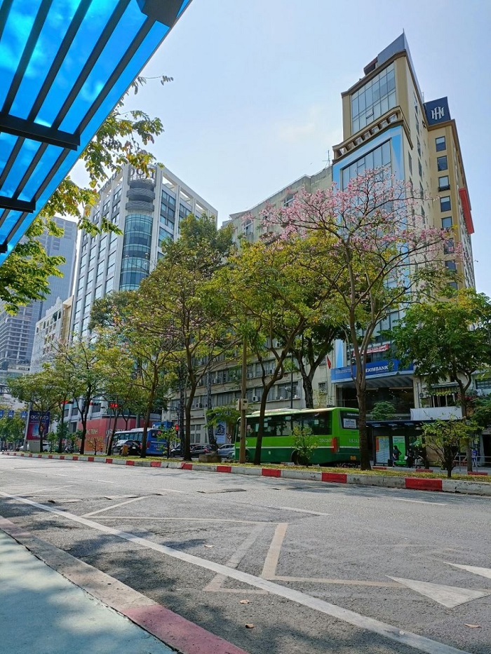 Màu sắc của ảnh vừa chân thực nhưng cũng không kém phần sống động