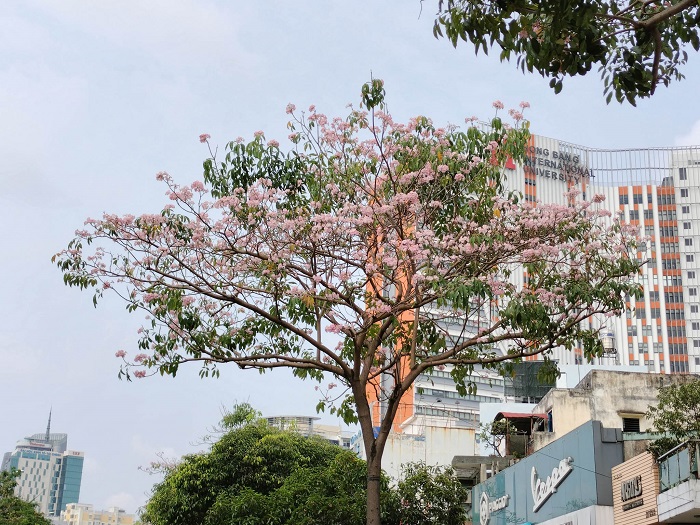 Tính năng chụp chân dung với camera sau ngay tại sự kiện ra mắt