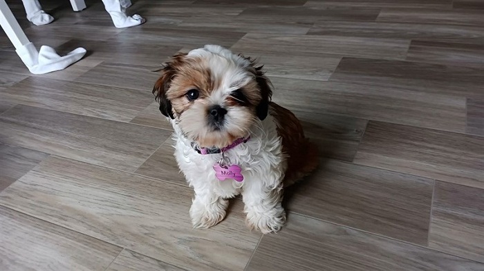 Cụm camera này thể hiện tốt nhất trong điều kiện đủ sáng