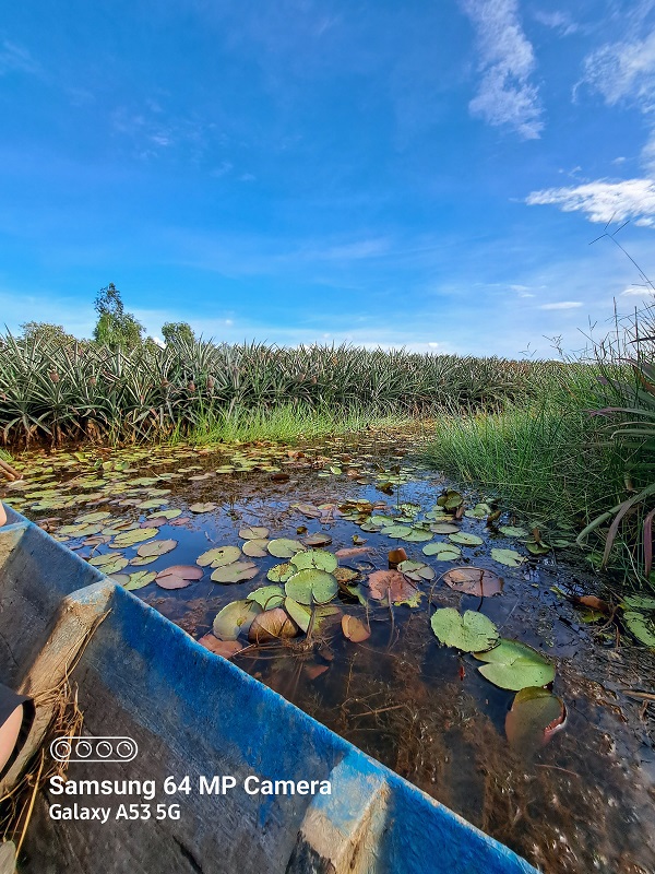 Camera góc rộng 8MP mở rộng góc nhìn sáng tạo hơn