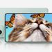 Galaxy A73 5G