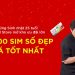 SIM số