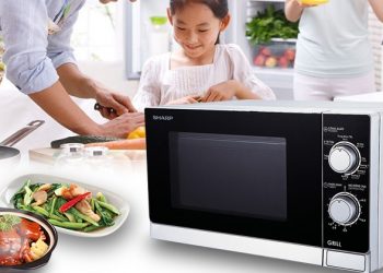 nên mua lò vi sóng hay lò nướng