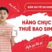 Giảm giá tới 120.000đ hàng chục nghìn thuê bao SIM số đẹp tại Viettel Store