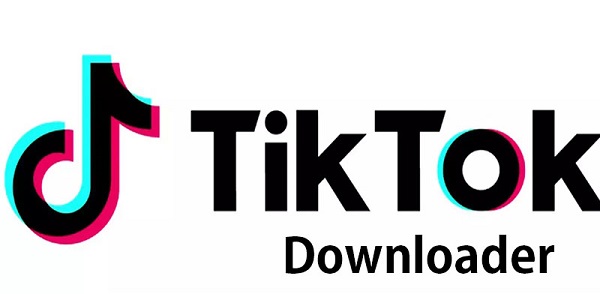 TikTok Downloader 
