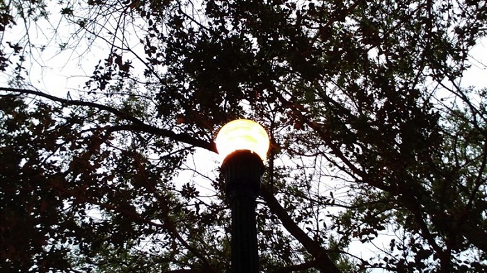 Hình ảnh chụp cột đèn trong buổi chiều tà từ camera Nokia 2760 Flip 4G