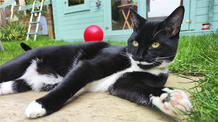 Hình ảnh chụp từ camera sau của POCO F4 GT