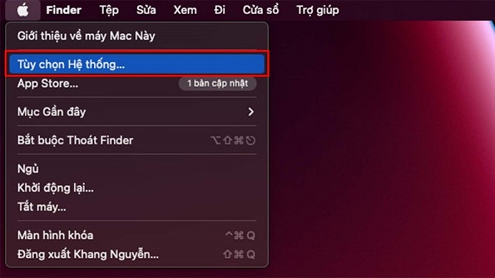 Chọn “Tùy chọn hệ thống”