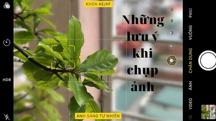 Ánh sáng yếu tố khá quan trọng quyết định độ đẹp xấu của bức ảnh