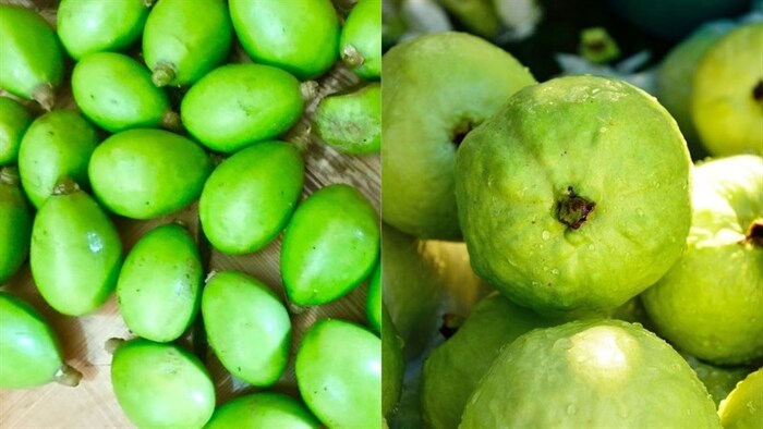 Nguyên liệu nước ép cóc ổi