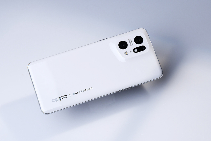 Mặt lưng gốm của phiên bản màu trắng