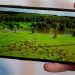 Đánh giá hiệu năng Nokia G21: Chơi game liệu có ổn?