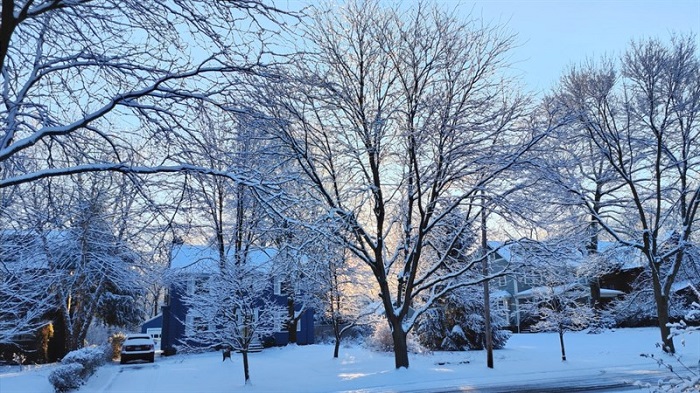 Ảnh chụp từ camera của Find X5 Pro 5G