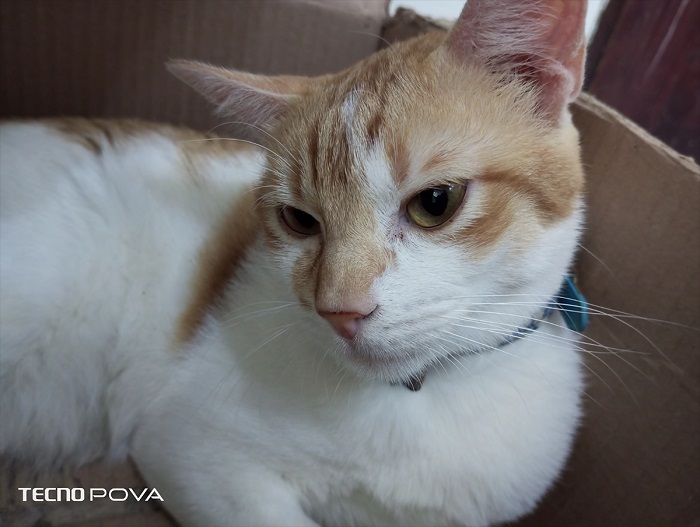 trên tay Tecno POVA 3