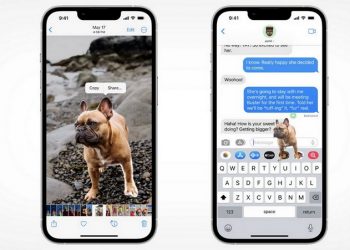 cách tách nền ảnh trên iOS 16