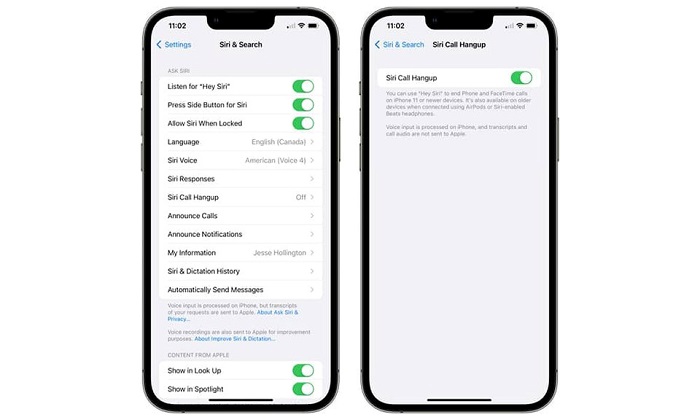 Kết thúc cuộc gọi bằng Siri