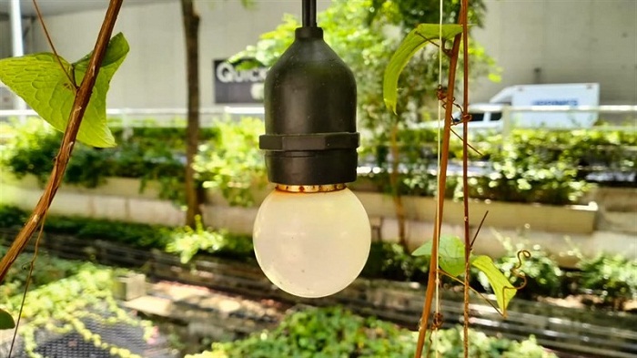 Hình ảnh có độ chi tiết ở mức tương đối, màu sắc được tái tạo tự nhiên