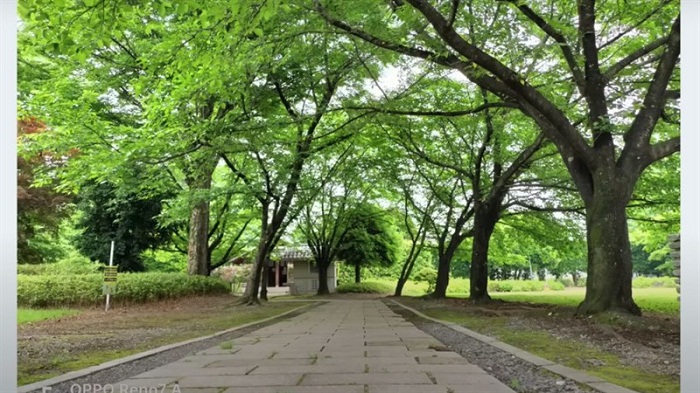 Camera chính cho ra những bức hình có chất lượng tốt