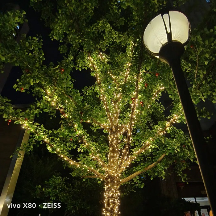 Một số ảnh chụp từ Vivo X80