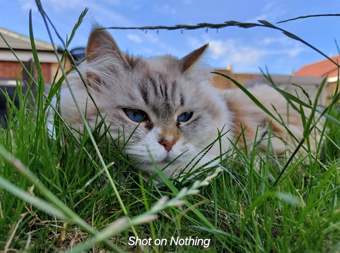 Trên tay Nothing Phone (1):