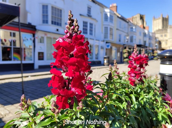 Trên tay Nothing Phone (1):