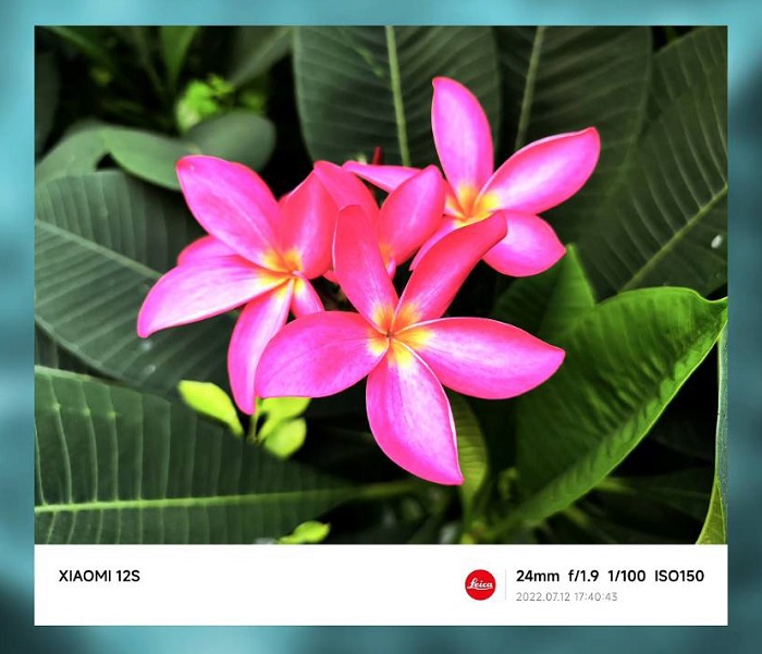 Đánh giá Xiaomi 12S