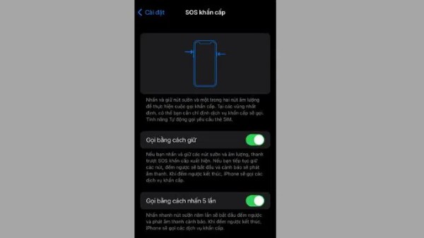 Tùy chọn bật hoặc tắt tính năng Tự động gọi