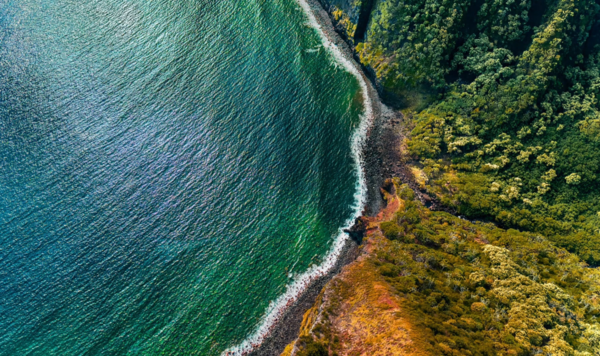 Hình ảnh chụp bởi iPhone 14 Pro 