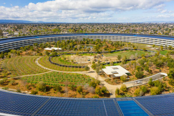 Khuôn viên hình tròn tràn ngập ánh sáng, tươi mát với hơn 9000 cây xanh được trồng