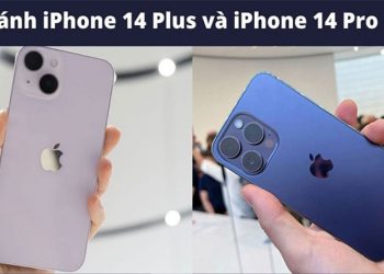 So sánh iPhone 14 Plus và iPhone 14 Pro Max