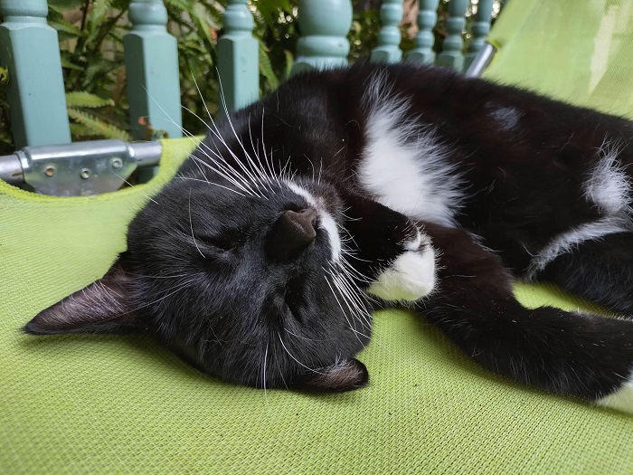 trên tay Nokia G60 5G