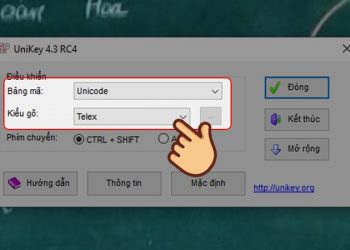 Nguyên nhân và cách khắc phục lỗi không gõ được tiếng Việt trên Chrome