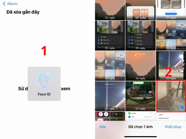 khôi phục ảnh đã xóa vĩnh viễn trên iPhone