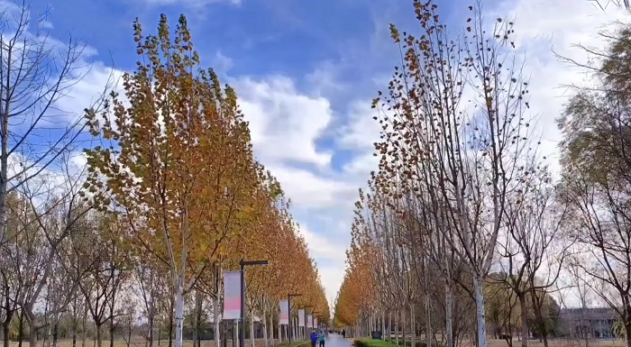 trên tay realme 10 Pro+