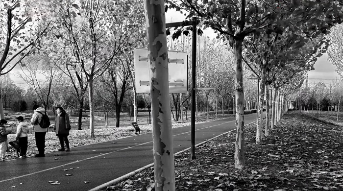 trên tay realme 10 Pro+