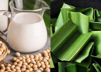 Cách nấu sữa đậu nành lá dứa thơm ngon, khó cưỡng chỉ với một vài bước thực hiện đơn giản