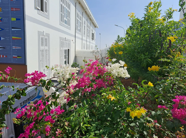 đánh giá điện thoại Samsung A53 5G