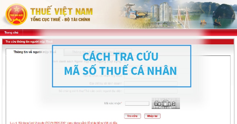 cách kiểm tra mã số thuế cá nhân