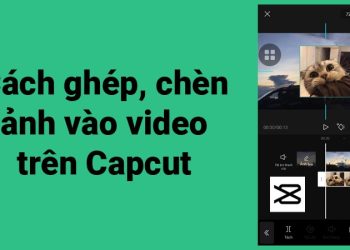 Hướng dẫn cách chèn, ghép ảnh vào video trên Capcut đơn giản