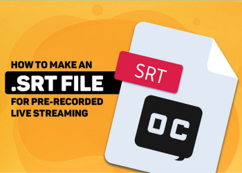 File SRT là gì? Đặc điểm của File SRT thế nào?